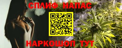 индика Гусь-Хрустальный