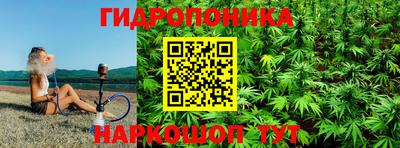 индика Гусь-Хрустальный