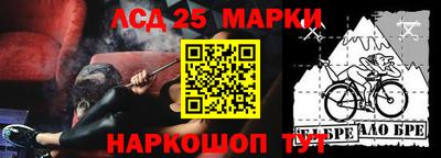 индика Гусь-Хрустальный