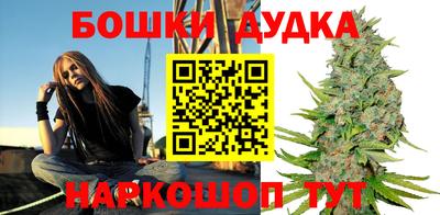 индика Гусь-Хрустальный