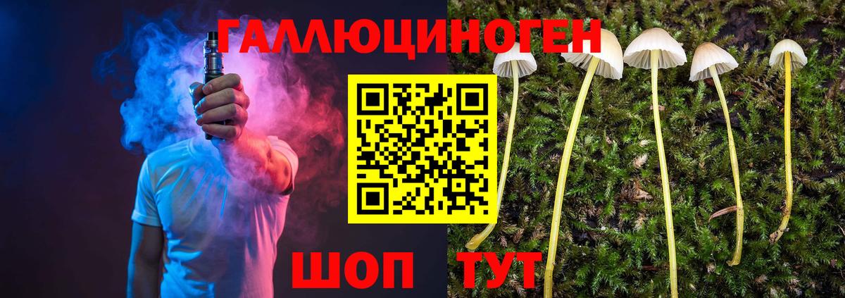 Галлюциногенные грибы Magic Shrooms  Псилоцибиновые грибы мицелий  Вход с VPN  Нефтекумск 